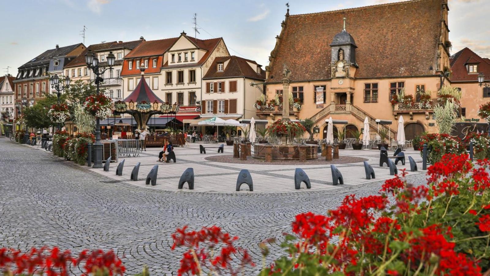 Studio Cosy A Molsheim Calme, Centre-Ville Et Acces Strasbourg Eksteriør billede